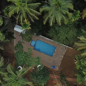 Couette-café Paddyfield, Mananthavady